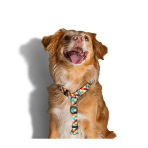 Phantom H-<b>Harness</b> Cartoon Striped Pet <b>Harness</b> for Dogs Reflective PVC Neoprene Corduroy Cotton <b>Leather</b> Small Medium Large - Product Image 3