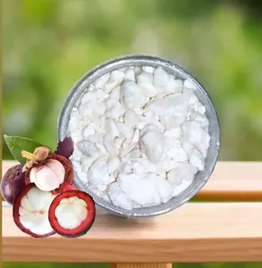 เนย kokum ที่ไม่ผ่านการกลั่น | 100% ให้บริสุทธิ์และสกัดเย็น | เหมาะสำหรับสบู่โลชั่นครีมและเครื่องสำอางแบบ DIY | ขายส่งจำนวนมาก - Product Image 2