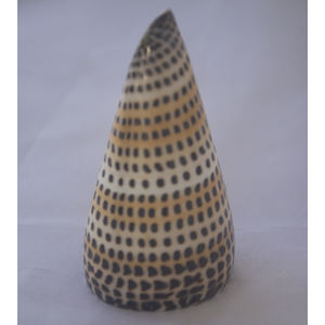 Conus litteratus SEASHELL BIJOUX Conidae Conus Shell Motif Poli Noir et Blanc Taille 8-10cm - Product Image 1