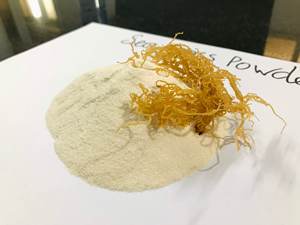 Carragenina en polvo de alta calidad al mejor precio para exportar a granel desde Vietnam - Product Image 5