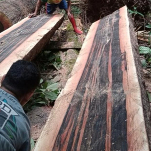 Offre Spéciale indonésie exotique longue large tranchée bois Macassar ébène Amara dessus de Table en bois pour Table basse à manger à bord vivant naturel - Product Image 1