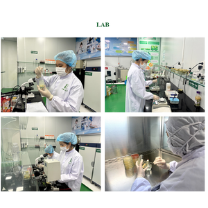 100g Nid D'oiseaux Raffiné Riche En Protéine Aliment De Santé Naturel pour Adultes Boîte Emballage Stimulant L'immunité Bien-être Prix Concurrentiel - Product Image 4