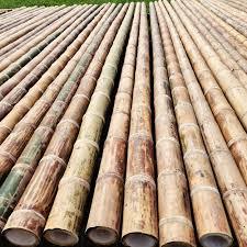 เสาไม้ไผ่ธรรมชาติเสาไม้ไผ่สำหรับสวนสมัยใหม่สำหรับรั้วกีฬาและฟาร์ม - Product Image 2