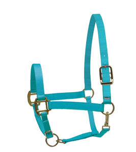 Nylon Turquoise Super licou portable intelligent - Product Image 6