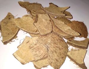 Material de Cáscara de Coco Natural Ecológico para Diseñadores de Artesanías, Fabricantes de Carbón Vegetal y Pedidos de Exportación al Mejor Precio - Product Image 6