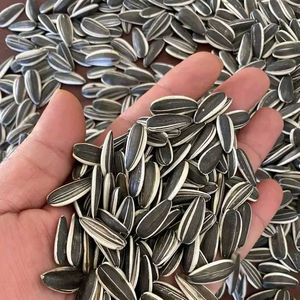 Noyaux noix de tournesol croquantes, nutritives et délicieuses pour une énergie quotidienne de qualité supérieure - Product Image 1