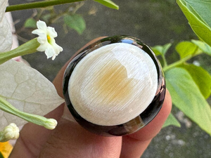 Anillo de Cuerno de Búfalo Natural Ecológico de Diseño Superior para Mujer, Joyería de Fiesta Hecha a Mano de Estilo Moderno de Alta Calidad, Artesanía Saniya - Product Image 2