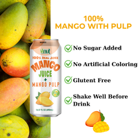 Échantillon gratuit et services OEM 490ml boisson au jus de mangue avec pulpe-Fabricant Vinut Vietnam, marque privée, prix de gros