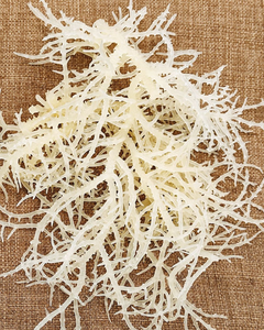 ALGUES DE COTON FRAIS ET DURABLES-RÉCOLTEES DIRECTEMENT AU VIETNAM, PARFAIT POUR LES BESOINS DE VOTRE ENTREPRISE - Product Image 1