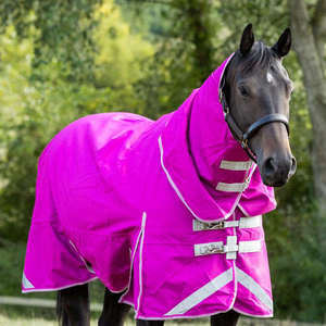 Couverture pour cheval en tissu équin imperméable de qualité supérieure 600D avec rembourrage en coton de 100 g pour l'automne et l'hiver - Product Image 1