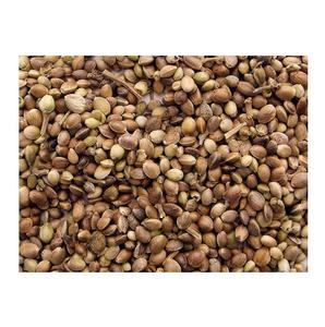 Fournisseur de graines de chanvre biologique à bas prix Vente en gros Graines de chanvre naturelles - Product Image 5