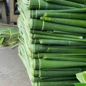 Feuille de bananier de haute qualité pour recouvrir les produits d'agriculture alimentaire d'emballage alimentaire avec le prix concurrentiel du Viet Nam