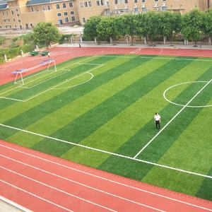 Futsal Polyethylene <strong>Artificial</strong> <strong>Grass</strong> <strong>Sports</strong> <strong>Flooring</strong> Durable Football Synthetic Turf for <strong>Sports</strong> <strong>Court</strong> <strong>Equi</strong> - Product Image 1