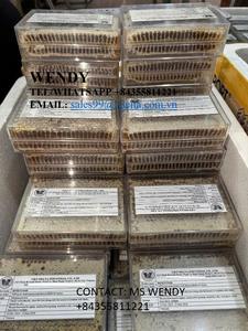 Premium Multi-fiore pettine di miele dal Vietnam per l'esportazione - Product Image 4