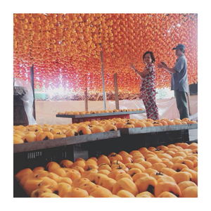 Kaki séché naturellement sucré du Vietnam, produit de collation de qualité supérieure emballé pour étiquettes OEM, exportateurs, approvisionnement de supermarché au détail - Product Image 1