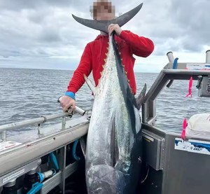 รอกตกปลาไฟฟ้า MarinePower 3000 24V รุ่นขายดี มีจำหน่ายแล้ว |   บริการจัดส่งทั่วโลก - Product Image 4