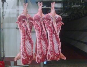 ซากหมูแช่แข็งเนื้อหมูสดห่อจำนวนมากสำหรับร้านอาหารซูเปอร์มาร์เก็ต - Product Image 2