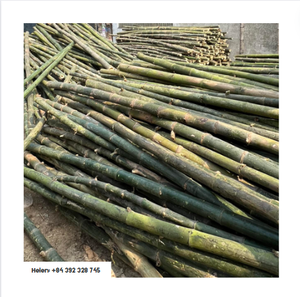 เสาไม้ไผ่ธรรมชาติทำจากไม้ไผ่ธรรมชาติเสาค้ำยัน - Product Image 3