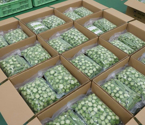 Okra Congelada IQF Premium, Cortes y Especificaciones Personalizadas, Origen Vietnam - Sr. Pierre Luu - Product Image 4