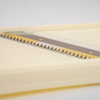 Groentehakker Mandoline Snijder Buiten Gebruik Geschikt Gepatenteerde Uitvinding Handbeschermer 2,5 mm Medium Julienne Professioneel Handmatig PP