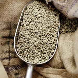 Nuevo Precio de Fábrica en Granos de Café Verde Robusta de Primera Calidad, 100% Natural, Puro, Orgánico, Cultivo de Alta Calidad, Compre Ahora - Product Image 2