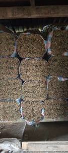 Feuilles de bambou séchées du Vietnam, feuilles de bambou sélectionnées, exportation en vrac, fabricant direct, approvisionnement fiable à long terme - Product Image 2