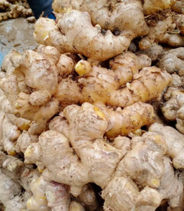 Jengibre Fresco Orgánico de la Mejor Calidad con Ricos Antioxidantes para Salsas y Té de Hierbas, Productos de Bienestar - HP Valia - Product Image 3