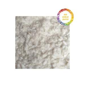 Guanábana Congelada de Alta Calidad de Vietnam, Apta para Importadores Mayoristas, Marcas de Smoothies y Fabricantes de Alimentos Congelados - Product Image 5