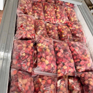 Vietnam Frozen Strawberry Dice Crumble Industrial Exportación a granel a precio directo de fábrica - Product Image 3