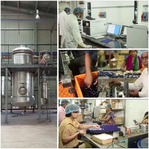 Fournisseur d'anise, étoile sèche, - Product Image 6