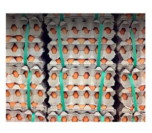 Œufs de poulet bio de fermes allemandes, vente directe à prix abordable, œufs de table blancs, œufs de poulets de chair, durée de conservation de 2 ans - Product Image 2