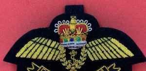 ป้ายผ้าปักด้วยมือ งานสั่งทำพิเศษ ด้วยด้ายทอง บนผ้าแคนวาส ขายส่ง สำหรับเครื่องแบบ ป้ายตราสัญลักษณ์รูปมงกุฎ ปัก 3 มิติ รูปทรงตามสั่ง - Product Image 3