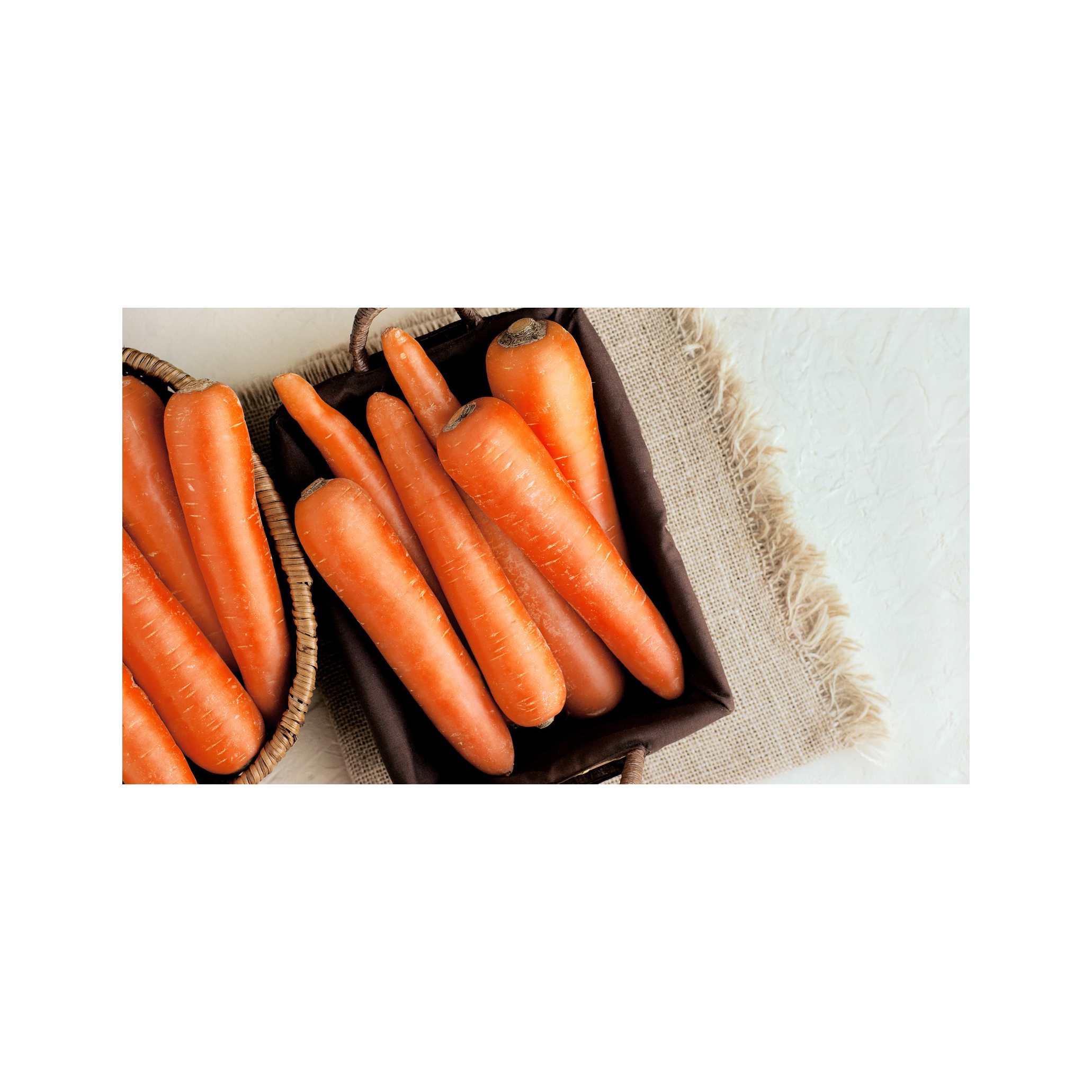 Fresh Carrots available in various sizes for wholesale markets and retailers
