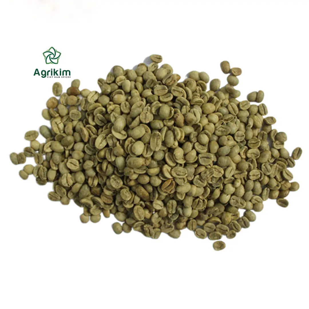 [Ücretsiz örnek] yüksek kaliteli Robusta yeşil kahve çekirdekleri Vietnam kökenli güvenilir ihracatçı + 84363565928 üretilen