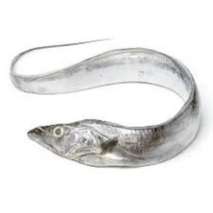 Pescado Cola de Caballo Congelado, Nuevo Producto 2022, Venta Caliente, Orgánico Premium, Bajo en Carbohidratos, Cuerpo Entero - Product Image 2