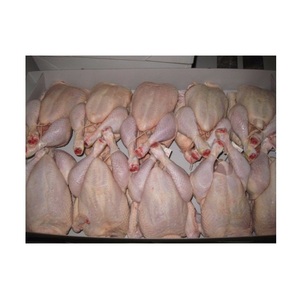 Pollo entero Halal de Grado Superior congelado de alta calidad y piezas de pollo - Product Image 2