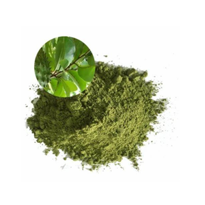 Hojas de Guanábana de alta calidad, hojas de té de Graviola orgánicas naturales enteras secas, producto a base de hierbas de Vietnam - Product Image 2