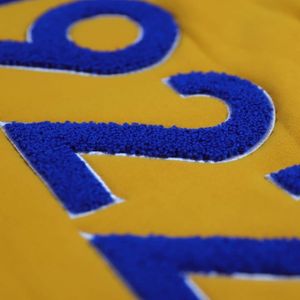 Sigma Gamma Rho SGRho Pullover <b>Hoodie</b> Gold 60 Cotton 40 <b>Polyester</b> Blue Chenille Greek Letters Embroidered Sorority Apparel - Product Image 6