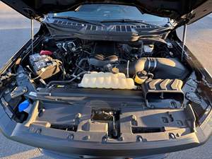 F-150 XL 4x4 2024, Motor V8 Supercargado, Tracción en las Cuatro Ruedas - Product Image 5