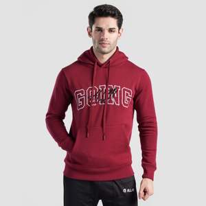 เสื้อฮู้ด GAI Aventus สีเบอร์กันดี สไตล์ลำลอง สตรีทแวร์ ผ้าเฟรนช์เทอร์รี่ สำหรับฤดูหนาว ลายพิมพ์สกรีน ดีไซน์ฤดูใบไม้ร่วง ไซส์ XS พร้อมป้ายกำกับแบบกำหนดเอง - Product Image 1