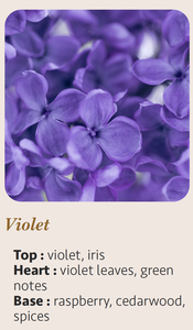 Bougie artisanale moderne de luxe à l'aromathérapie à la violette 20cl, logo personnalisé, cire mélangée, pot en verre cylindrique - Product Image 5