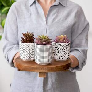 Tablero elevador de pedestal redondo ancho | exhibición de cocina | soporte de planta soporte de pedestal de madera hecho a mano - Product Image 4