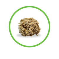 Arena para Gatos Aglomerante de Fibra de Madera Biodegradable y Ecológica Nordic Pet, Control de Olores, Altamente Absorbente, 5 kg, Amarillo Claro