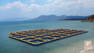 NUEVO PRODUCTO Jaula Flotante para Peces de HDPE, Tamaño 3x3 Metros, 4 Orificios por Unidad para Piscicultura - Product Image 4