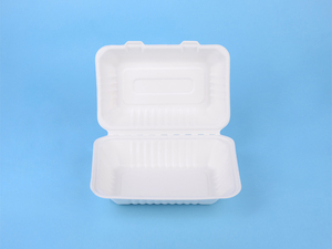 Mía dùng một lần Flap Bộ đồ ăn compostable 100% phân hủy sinh học bã mía thực phẩm container bã mía Hộp Ăn Trưa - Product Image 5
