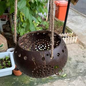 WHOLESALE PRICE COCONUT SHELL FLOWER POT PLANTER POT Hanging Pots for Plants Coconut Bowl Micro-green Seed Tray - Product Image 4