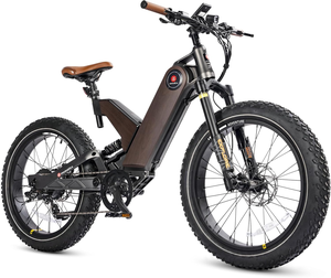 Meilleure offre pour les nouvelles vélos électriques hybrides XXANTT5 pour adultes, moteurs de 1000W de puissance maximale, 48V 20Ah, écran LCD, pneus larges 24"x4.0" - Product Image 1