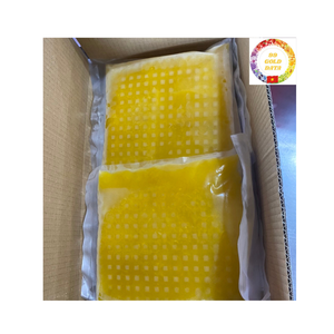 Zumo Kumquat congelado orgánico de primera calidad de Vietnam para bebidas y aplicaciones culinarias Suministro a granel a precio mayorista - Product Image 1