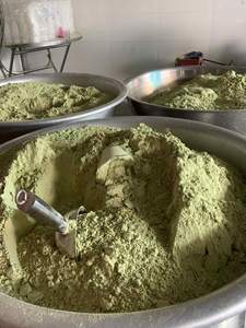 Polvo de gotu kola verde natural con textura suave de malla fina y alta pureza para exportación y distribución local - Product Image 3