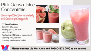 <b>Guava</b> Pink Puree Juice Concentrate From Vietnam ANNA - Product Image 4